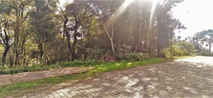 2878594_foto_1726845727.jpg