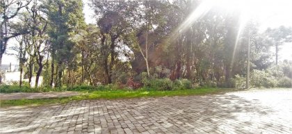2878594_foto_1726845729.jpg